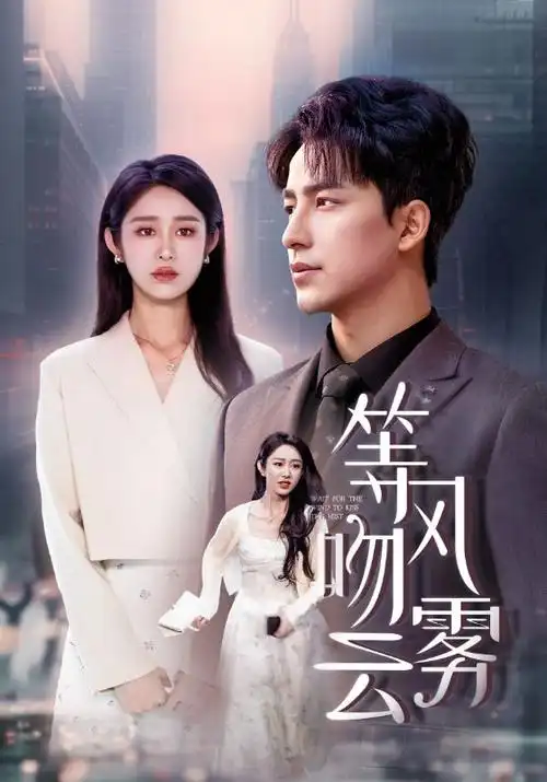 繁花 剧集 2024 王家卫